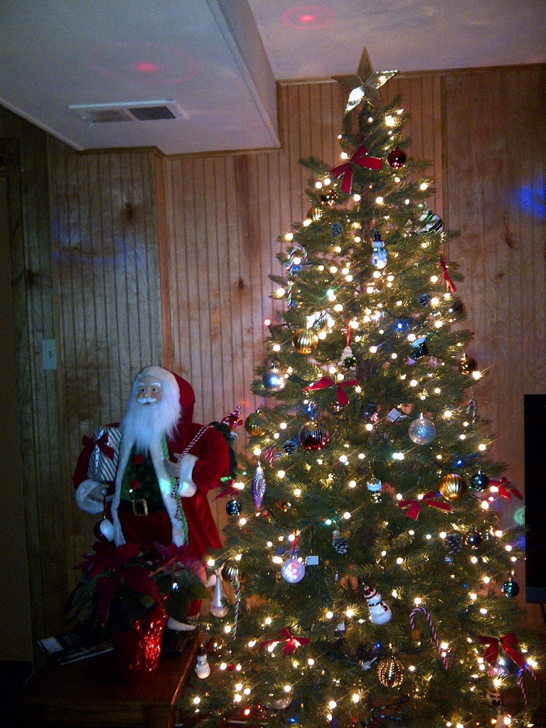 A Virginia Christmas Tree