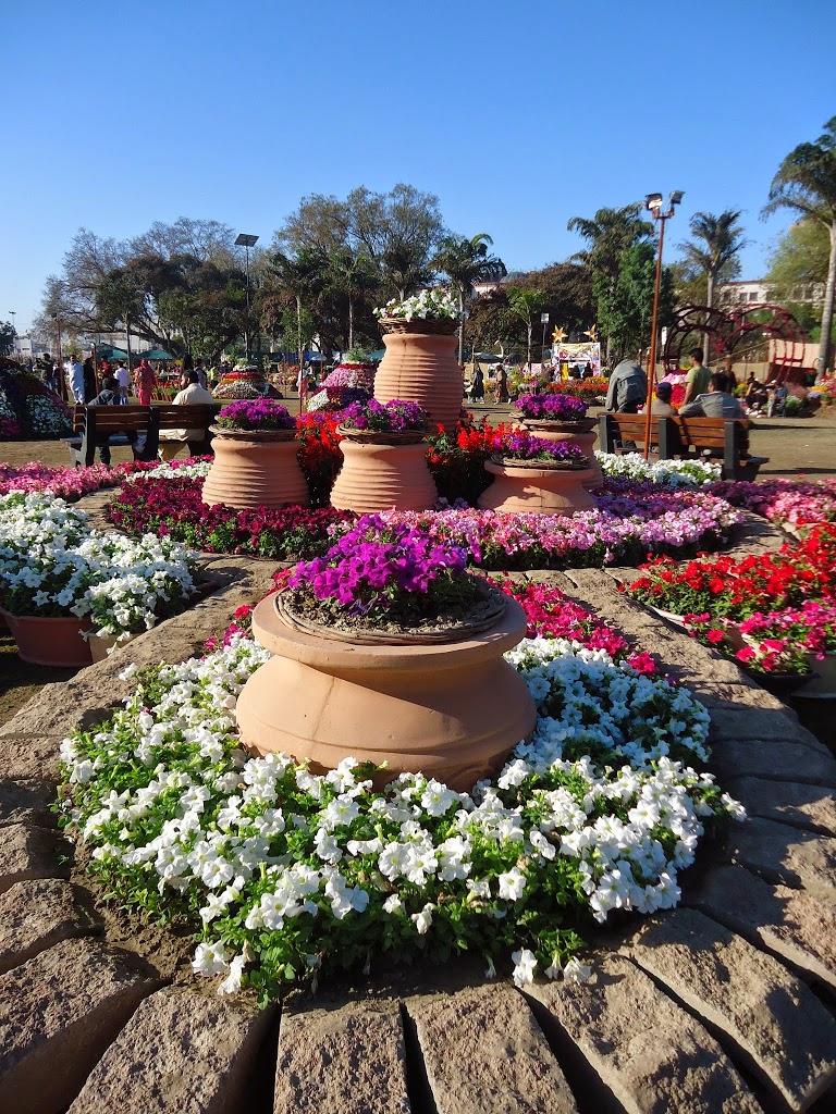 Spring Is Blooming In Lahore, Pakistan