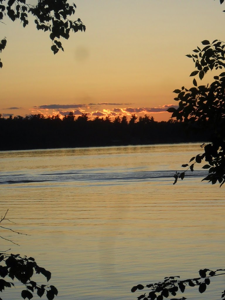 Bears Go Hungry, But Mosquitos Make A Feast Of Tasty First-Time Campers