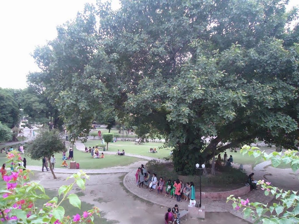 My World Transformed When I Stepped Onto My New College Campus
