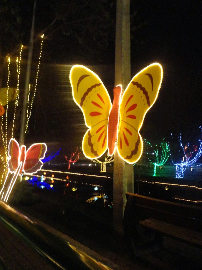 A Reason To Light Up Lahore’s Canal