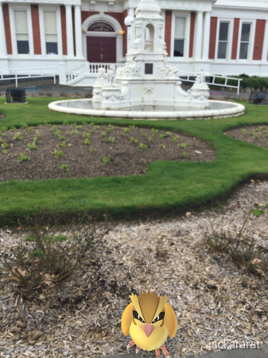 Searching for Pokémon Down Under
