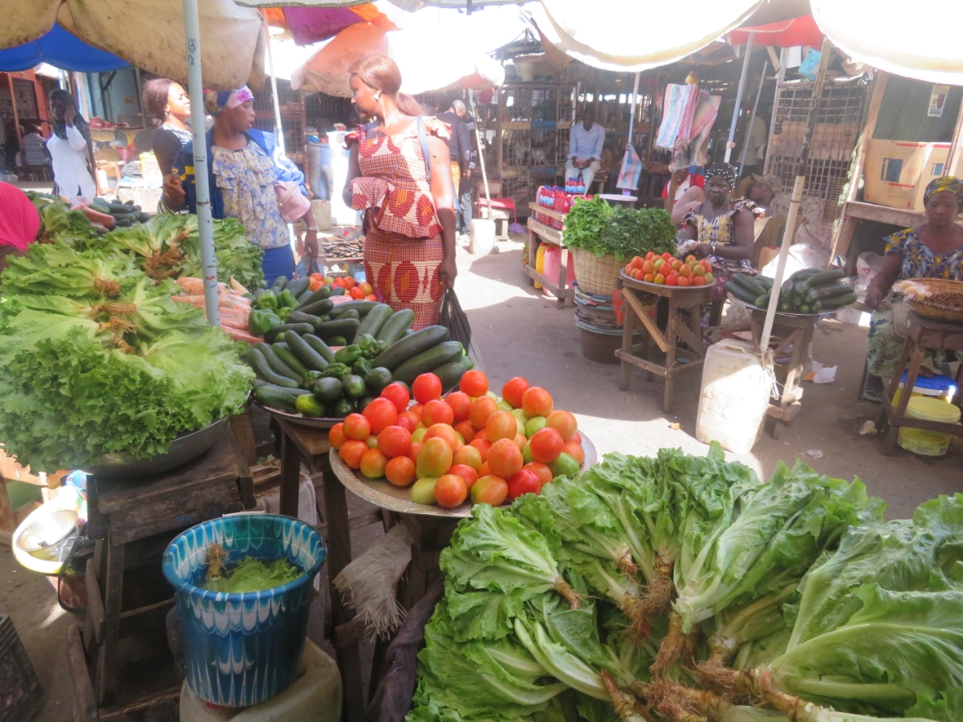 International Women's Day in The Gambia - Youth Journalism International