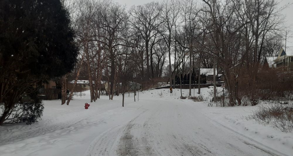 センスのいい お歳暮 Winter in Youth - area gray ultimate the Michigan: 置物